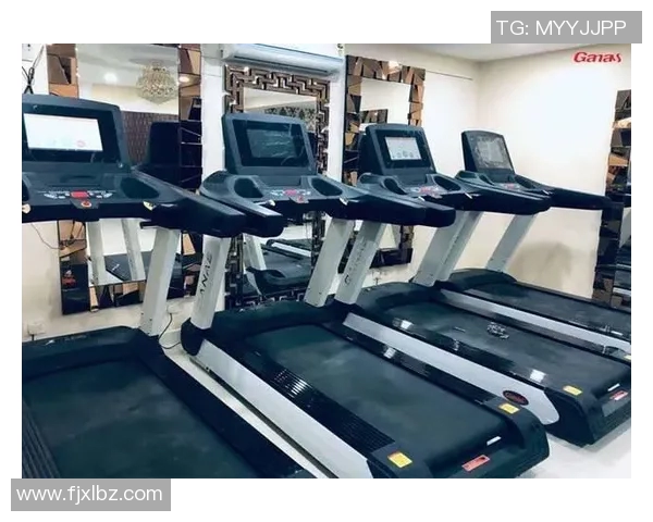 室内健身器材厂商如何满足消费者需求提升市场竞争力的策略分析